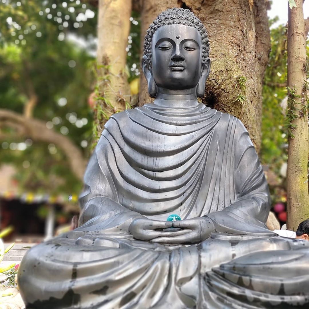 Free HD Buddha Images Wallpaper  Photos  5000 HighQuality Stock  Pictures  Pixabay
